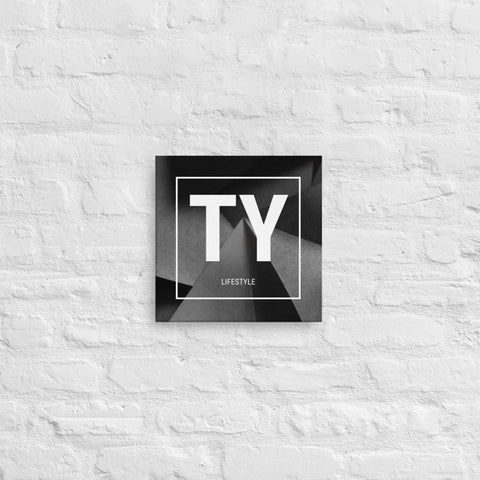 Ty Box Logo Canvas Print